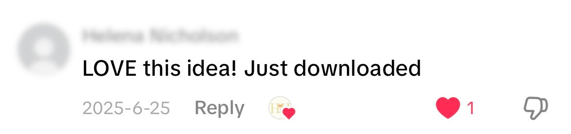 TikTok comment: LOVE this idea! Just downloaded